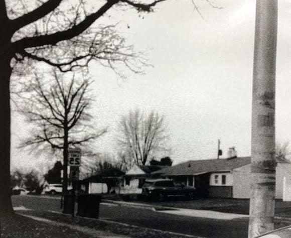 房屋和树木的黑白图像